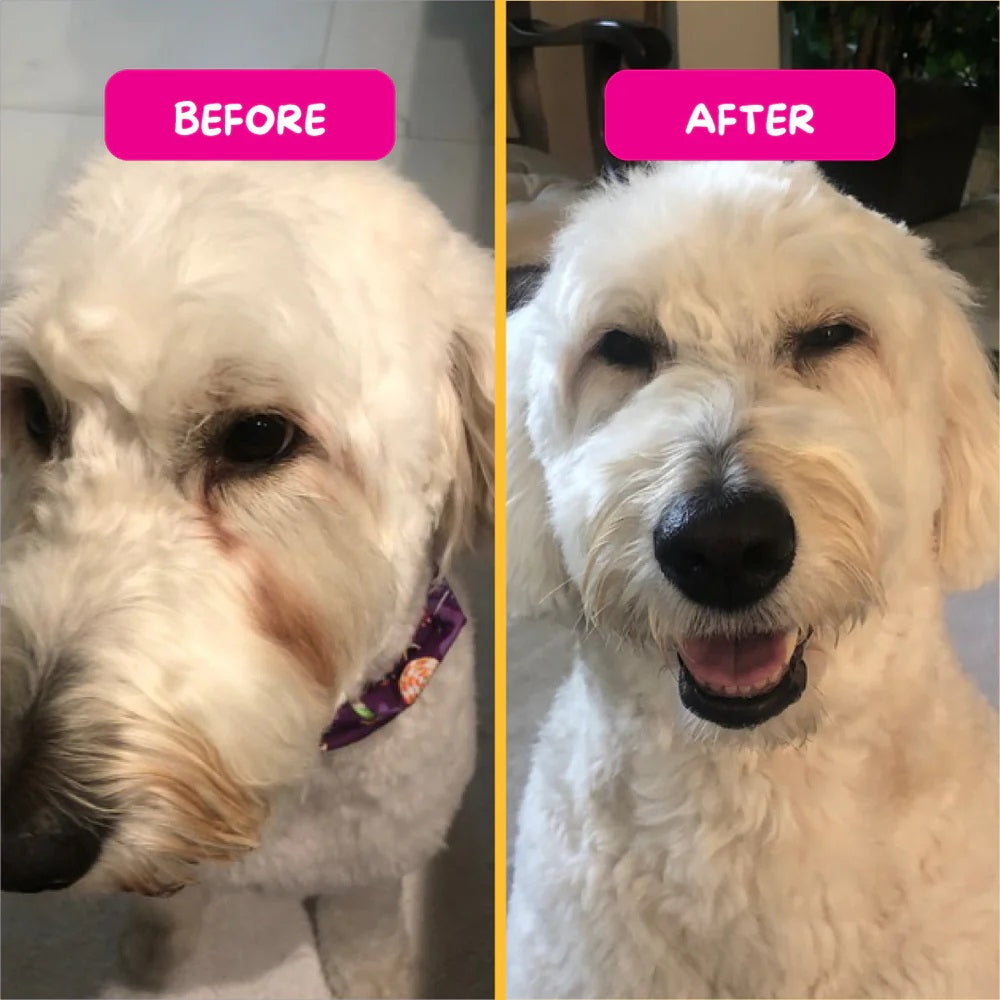 Pet Eyez Vitamin Treats for Dogs Chicken Formula 1oz