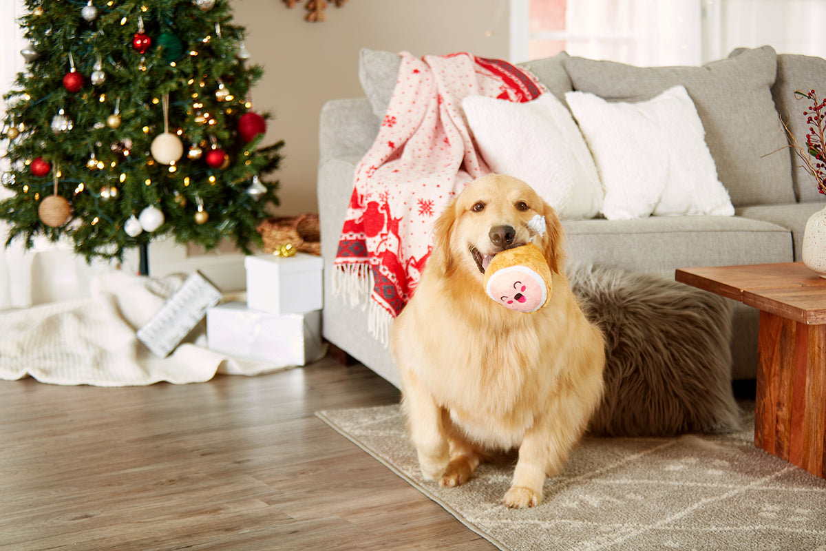 Pearhead M.C. Hammy Plush Dog Toy