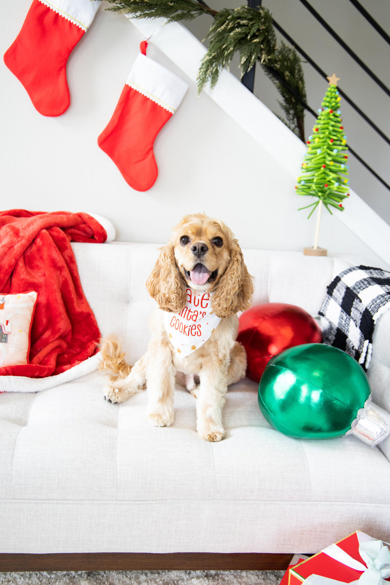 Pearhead "I Ate Santa's Cookies" Bandana