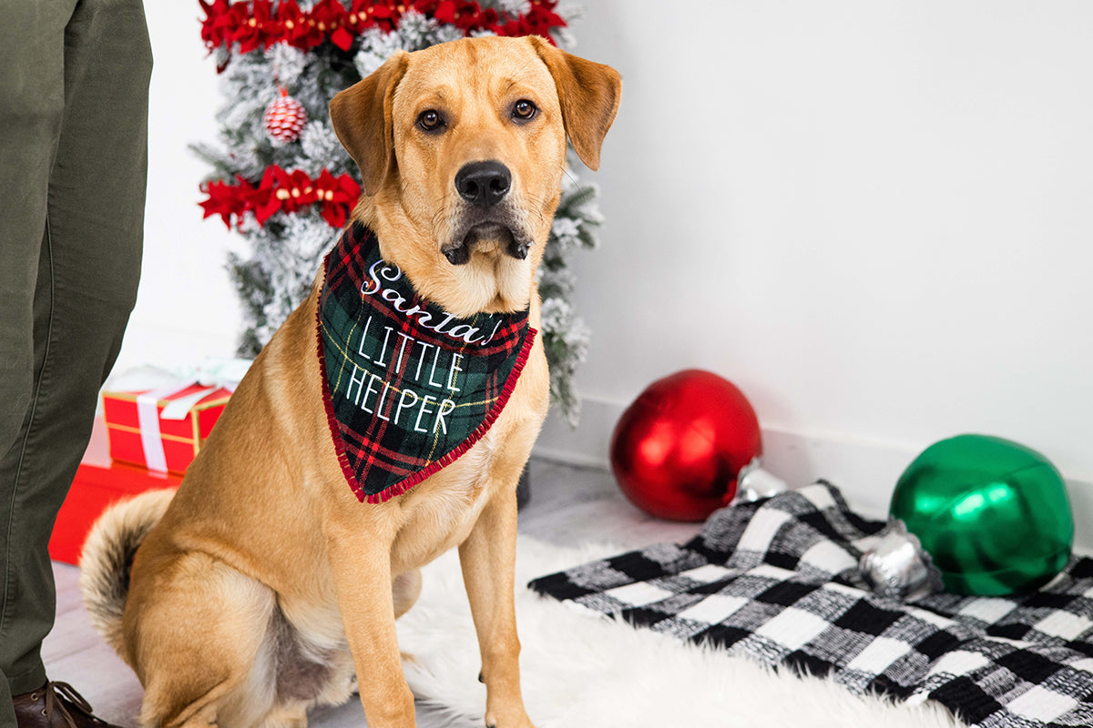 Pearhead "Santa's Little Helper" Bandana
