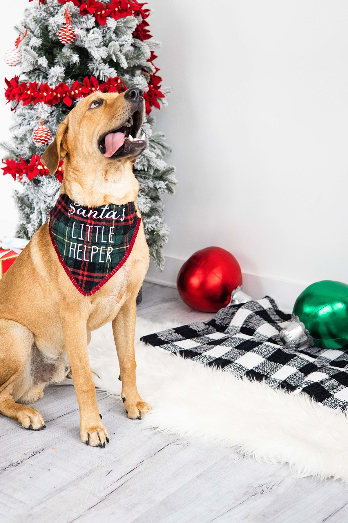 Pearhead "Santa's Little Helper" Bandana