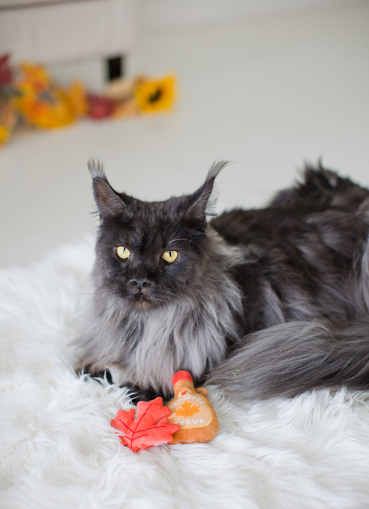 Pearhead It'S Meowple Season Cat Toy Set