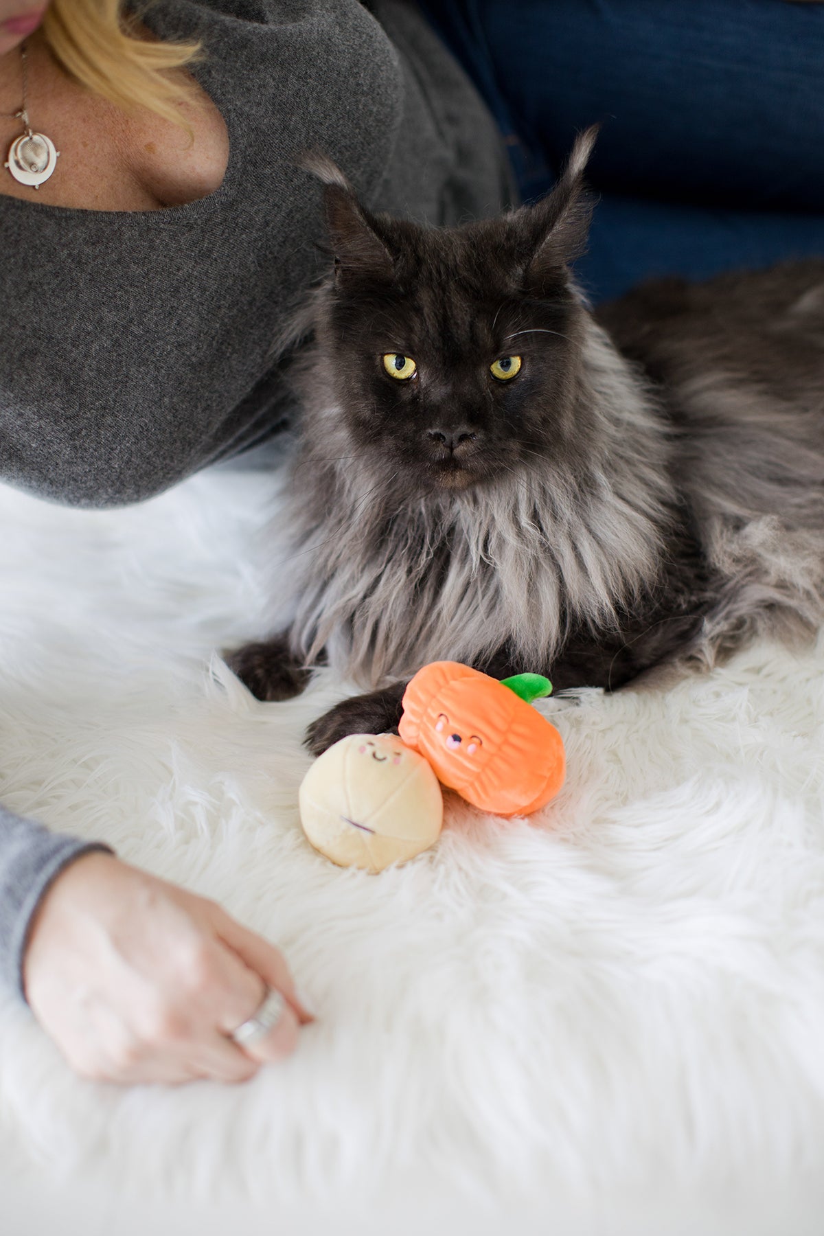 Pearhead Oh My Gourd Cat Toy Set