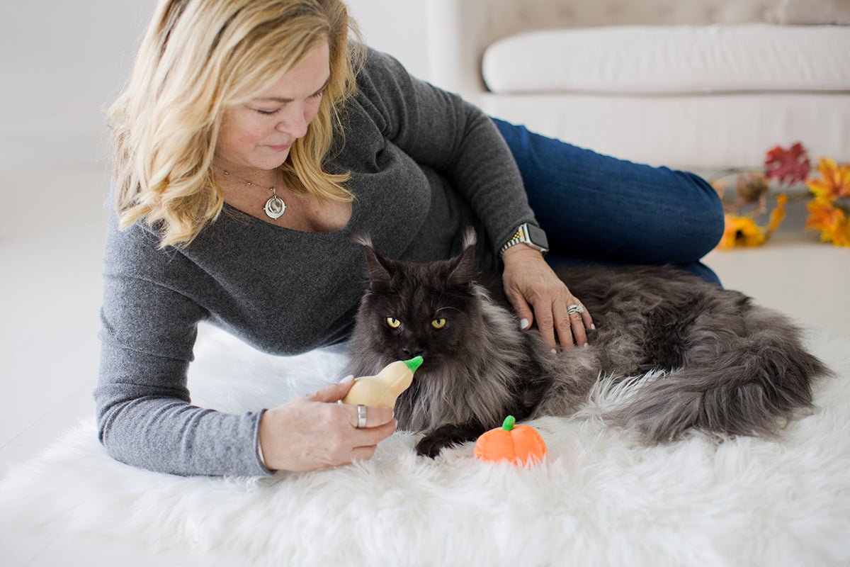 Pearhead Oh My Gourd Cat Toy Set