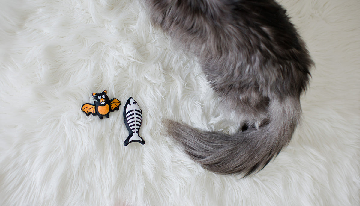 Pearhead Pawloween Cat Toy Set