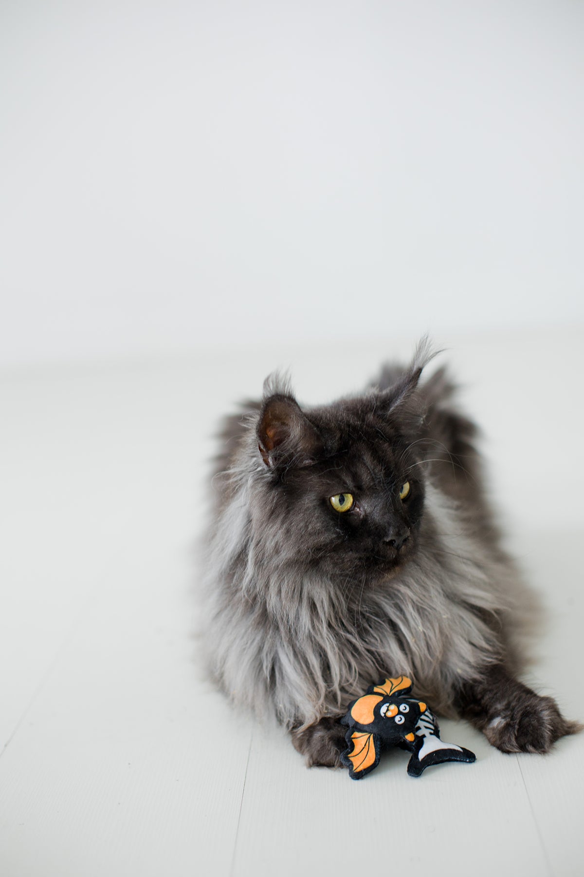 Pearhead Pawloween Cat Toy Set