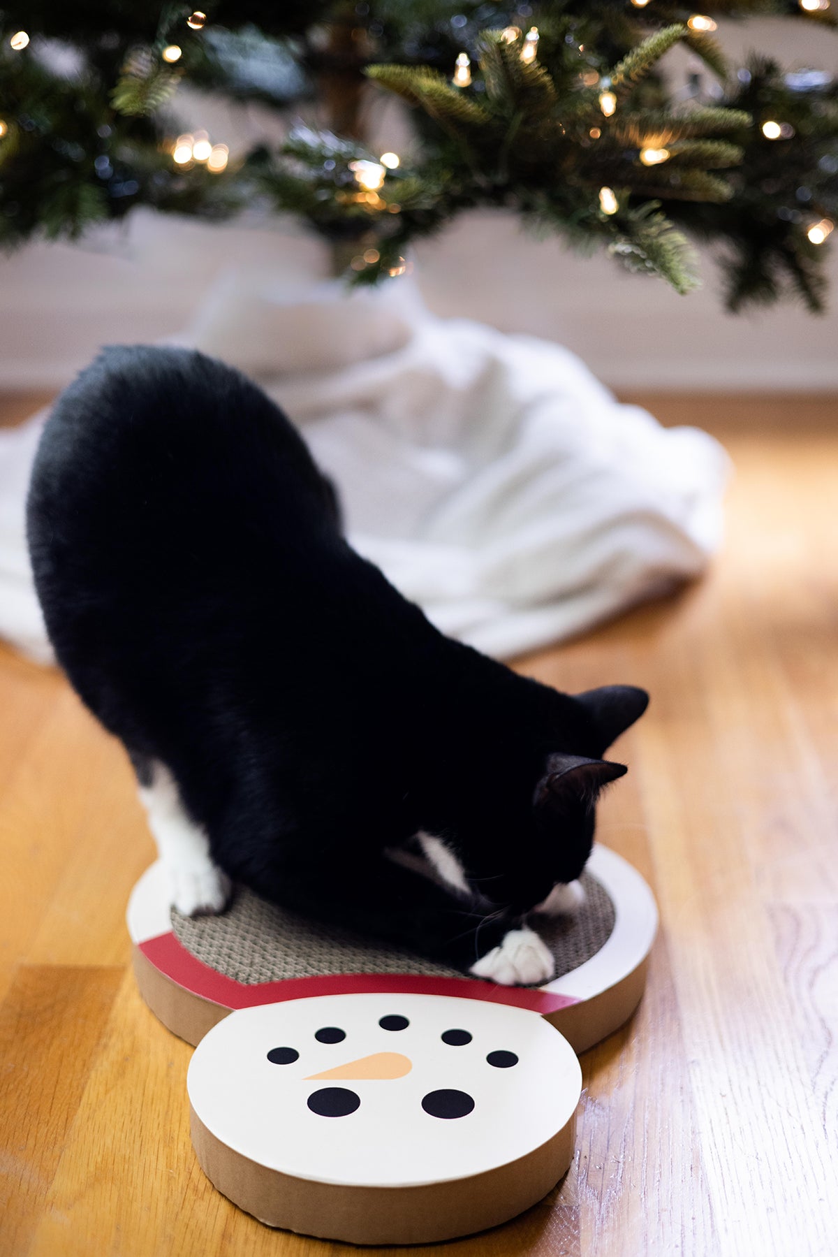 Snowman Scratch Pad Cat Toy