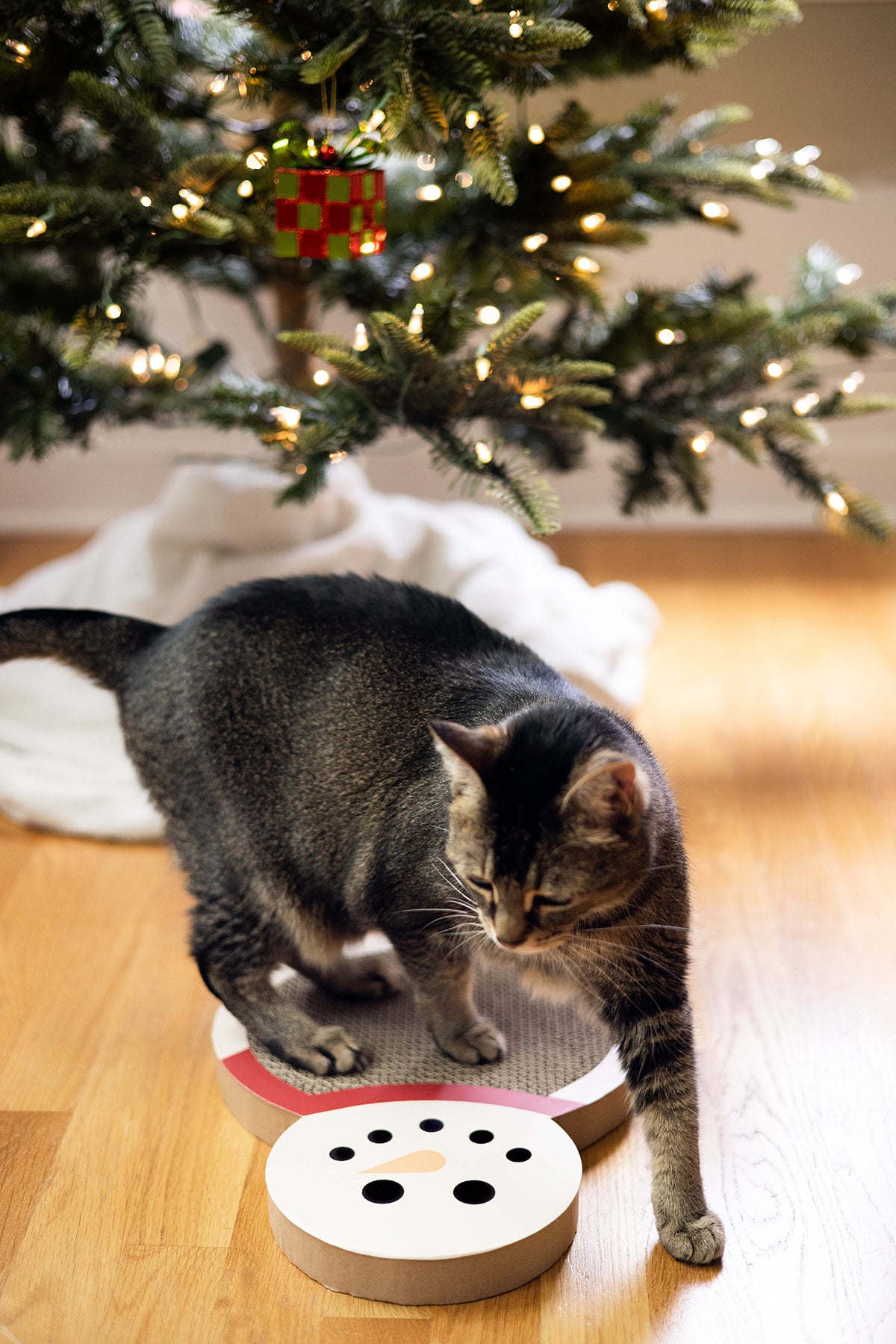 Snowman Scratch Pad Cat Toy