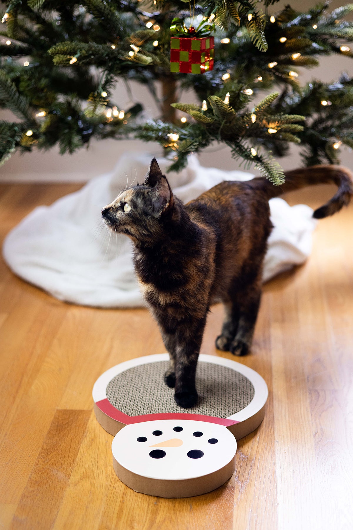 Snowman Scratch Pad Cat Toy