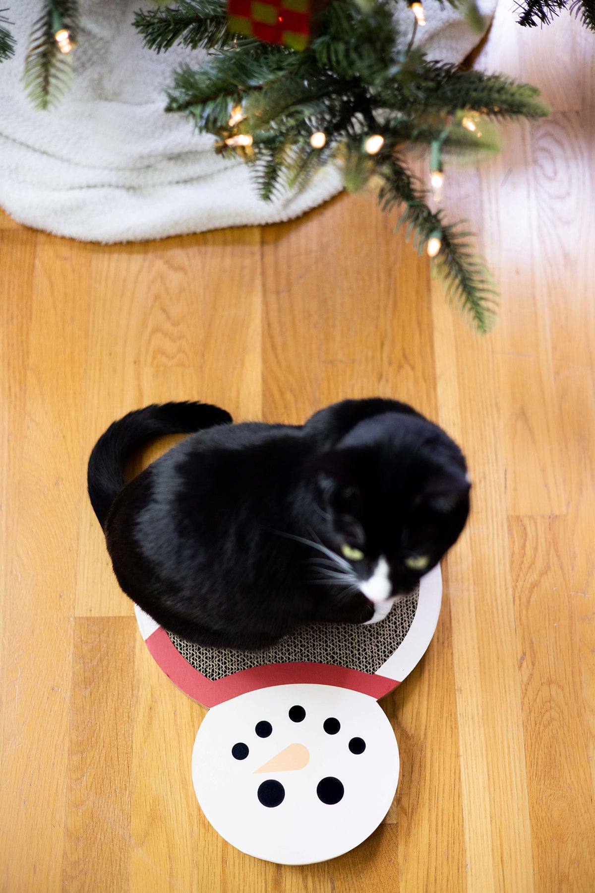 Snowman Scratch Pad Cat Toy