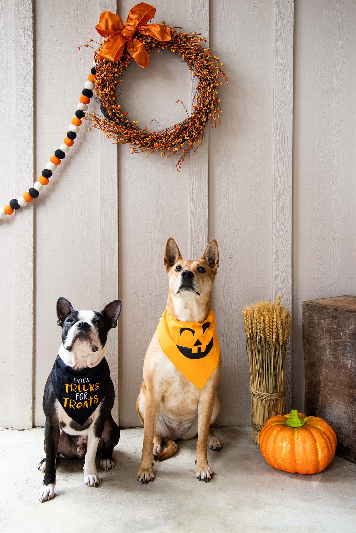 Pearhead Tricks Bandana Black S/M