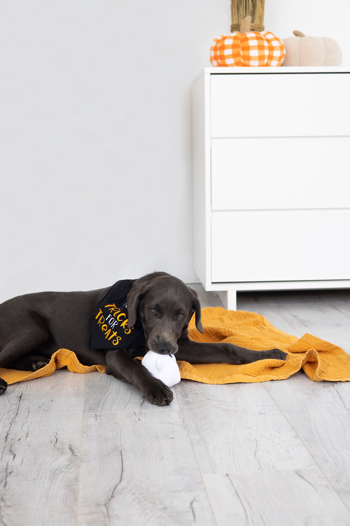 Pearhead Tricks Bandana Black S/M