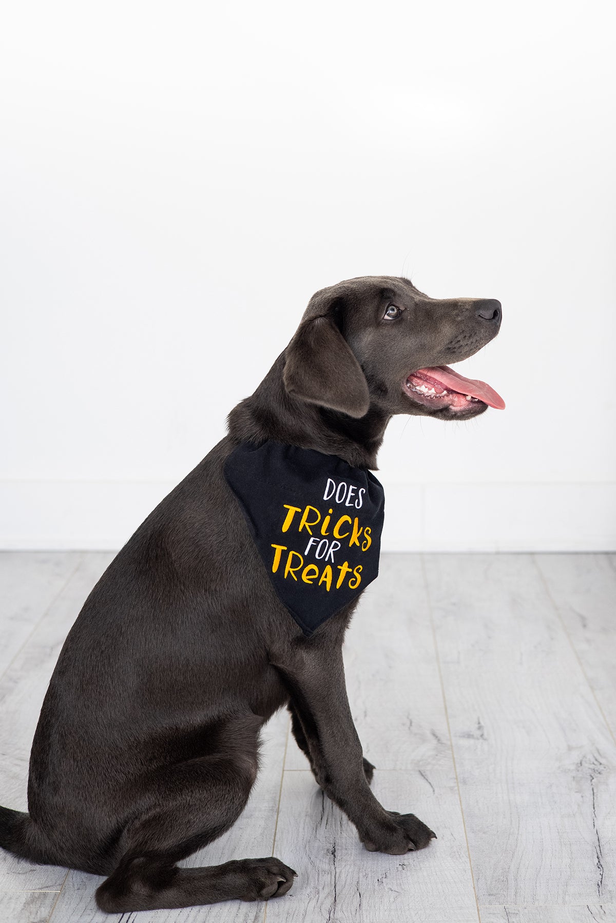 Pearhead Tricks Bandana Black S/M