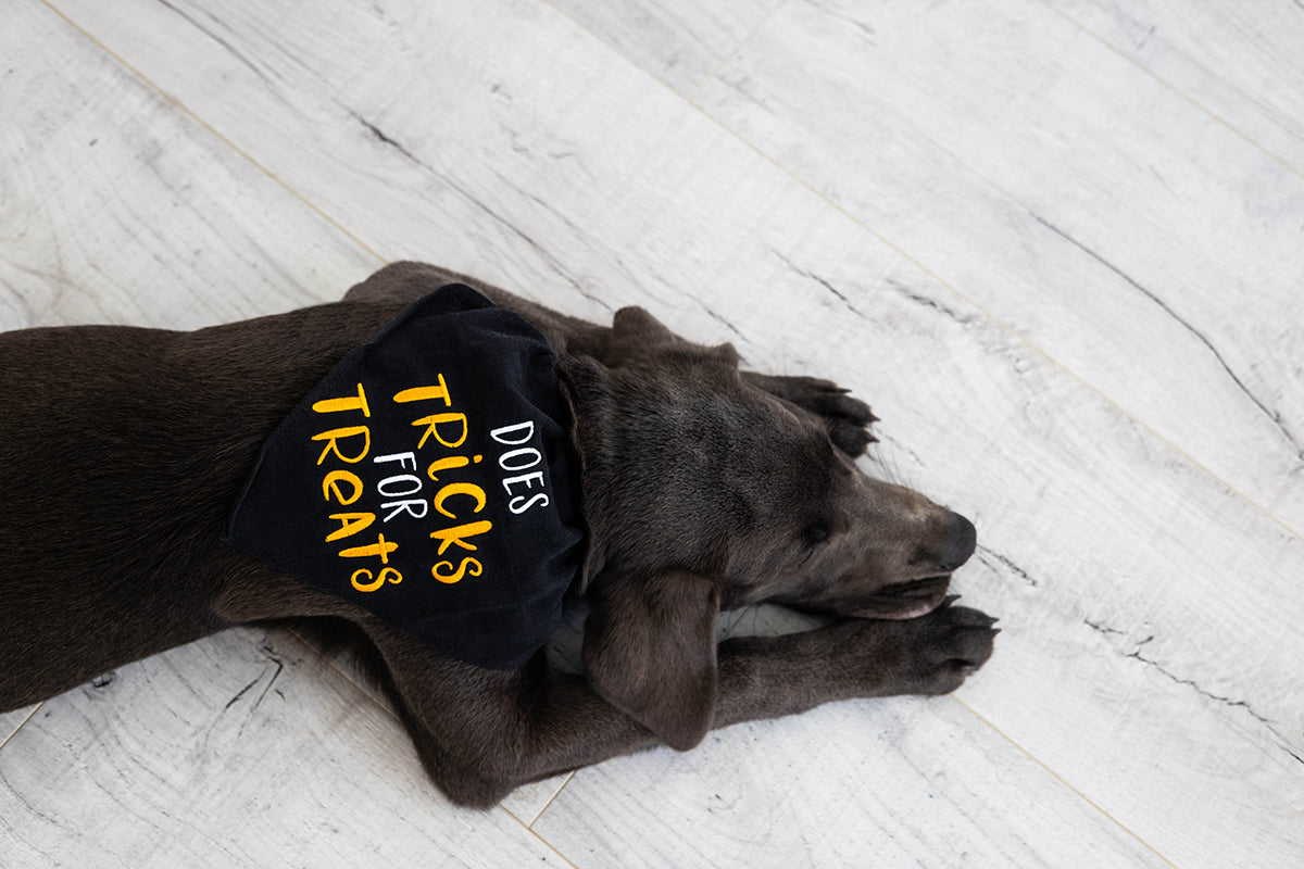 Pearhead Tricks Bandana Black S/M