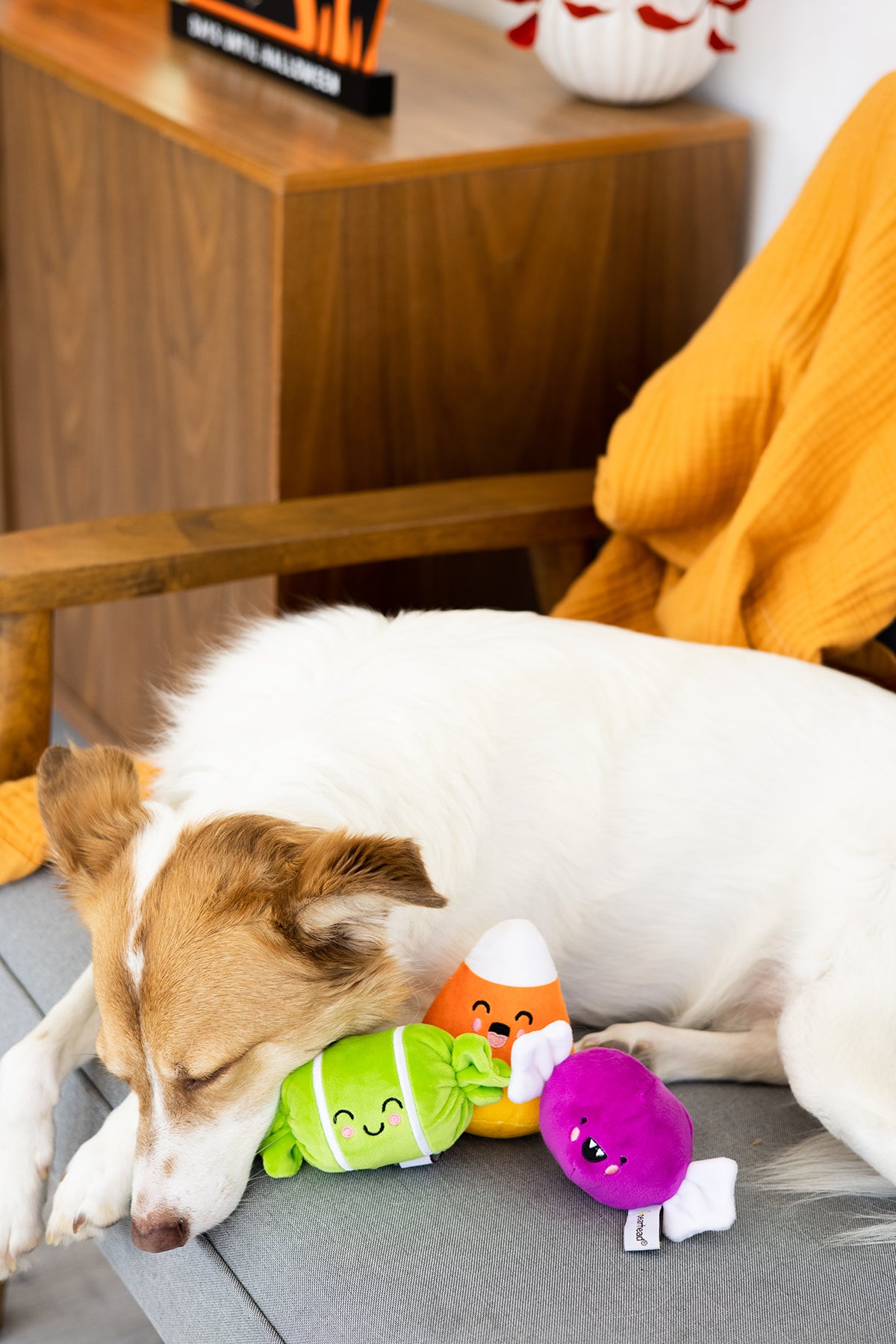 Pearhead Trick Or Treat Dog Toy Set