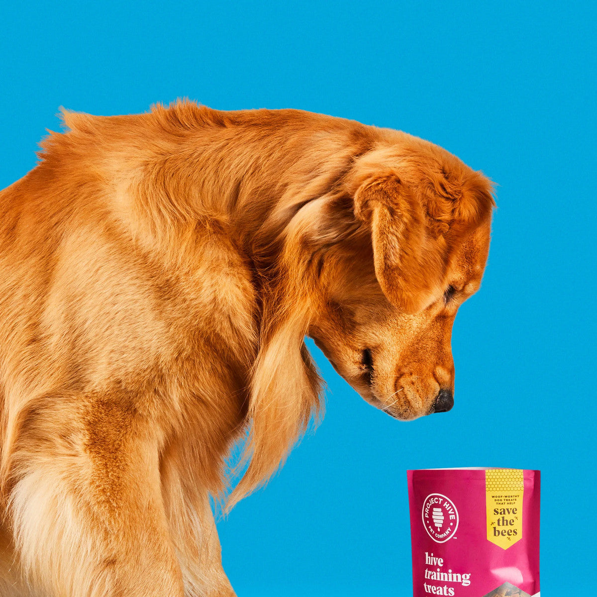 Project Hive Training Treats 6oz