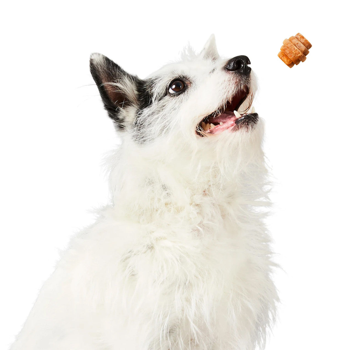 Project Hive Chew Treats Peanut Butter Small 8oz