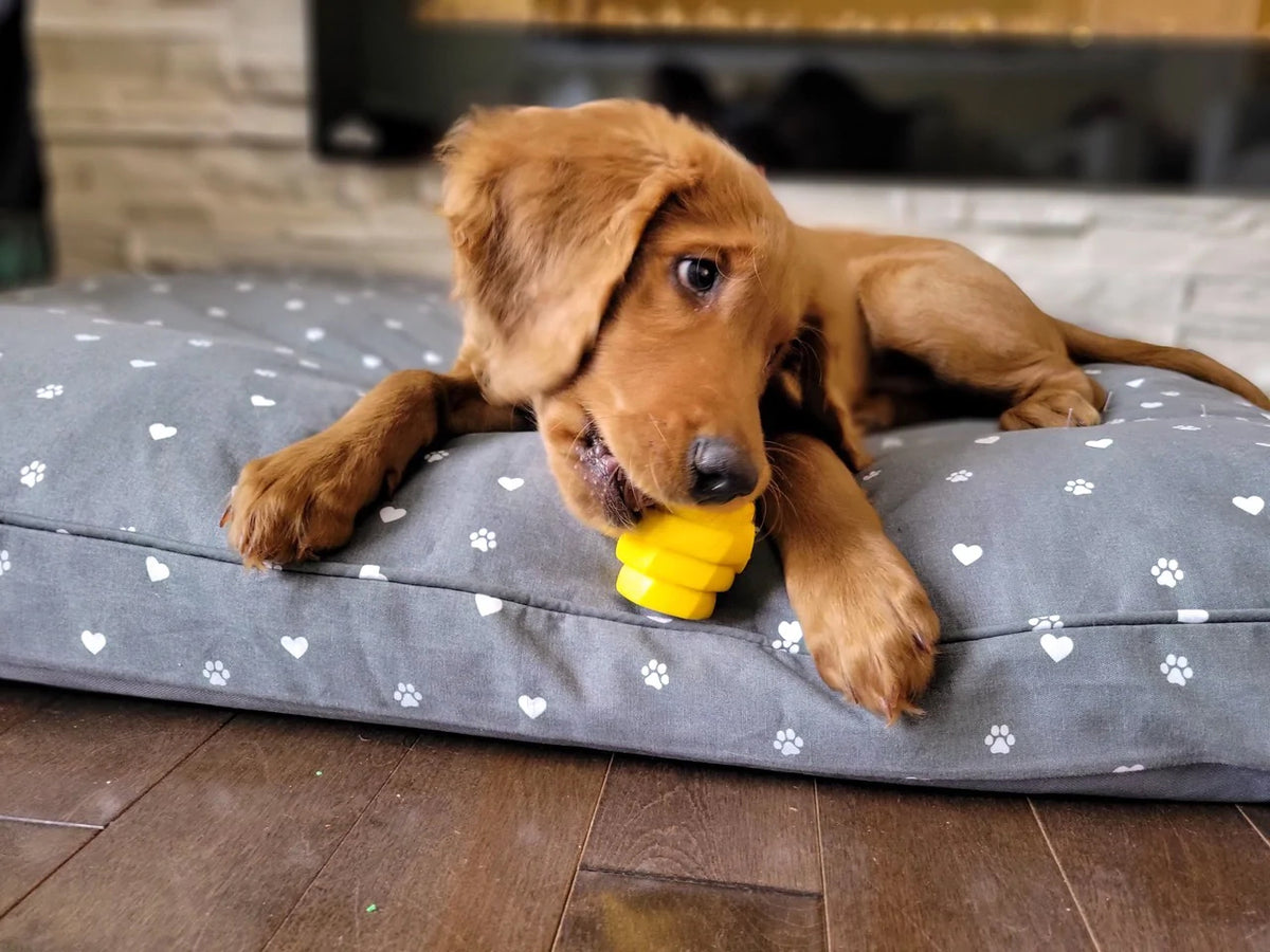 Project Hive Chew Toy Yellow Small