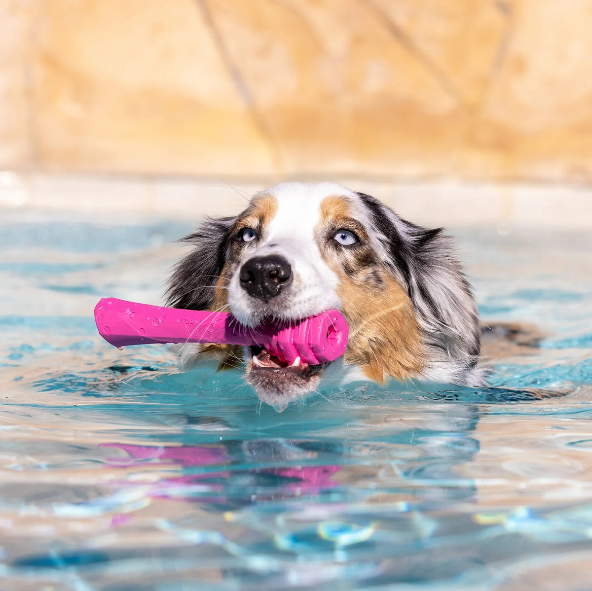 Project Hive Wild Berry Scent Hive Fetch Stick Pink