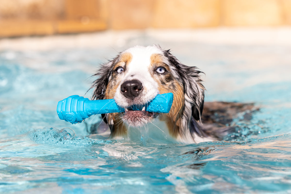 Project Hive Soothing Vanilla Scent Hive Fetch Stick Blue