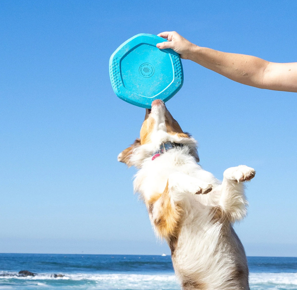 Project Hive Soothing Vanilla Scent Hive Disc & Lick Mat Blue