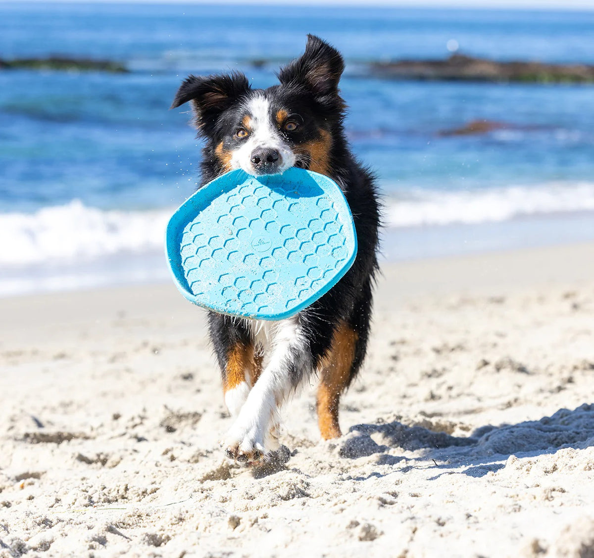 Project Hive Soothing Vanilla Scent Hive Disc & Lick Mat Blue