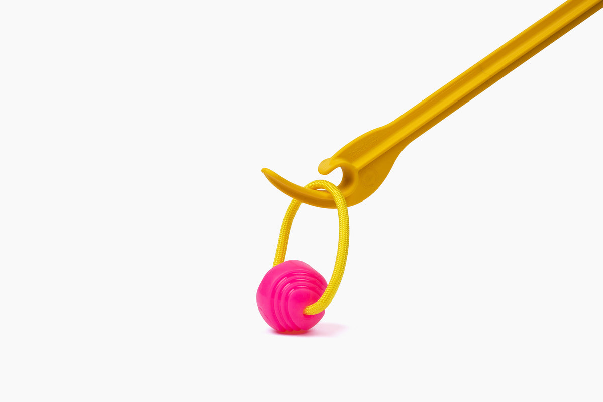 Project Hive Hive Zoomer and Ball Dog Fetch Toy