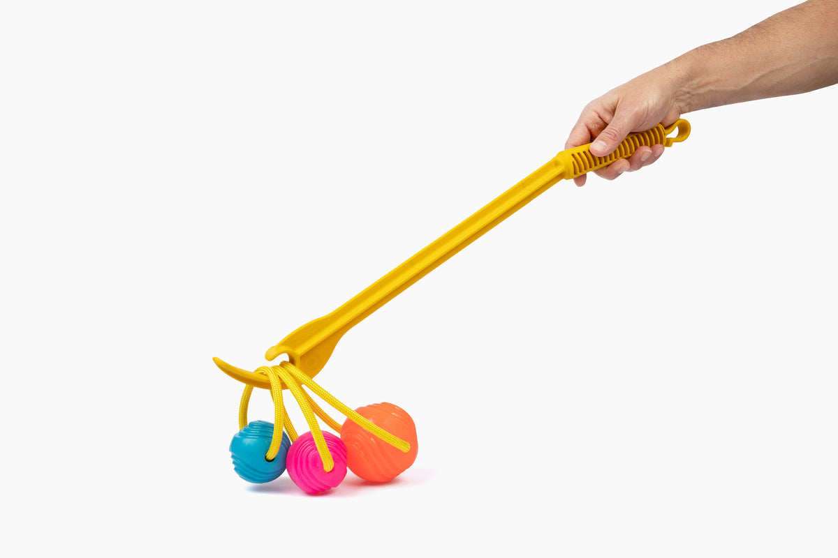 Project Hive Hive Zoomer and Ball Dog Fetch Toy