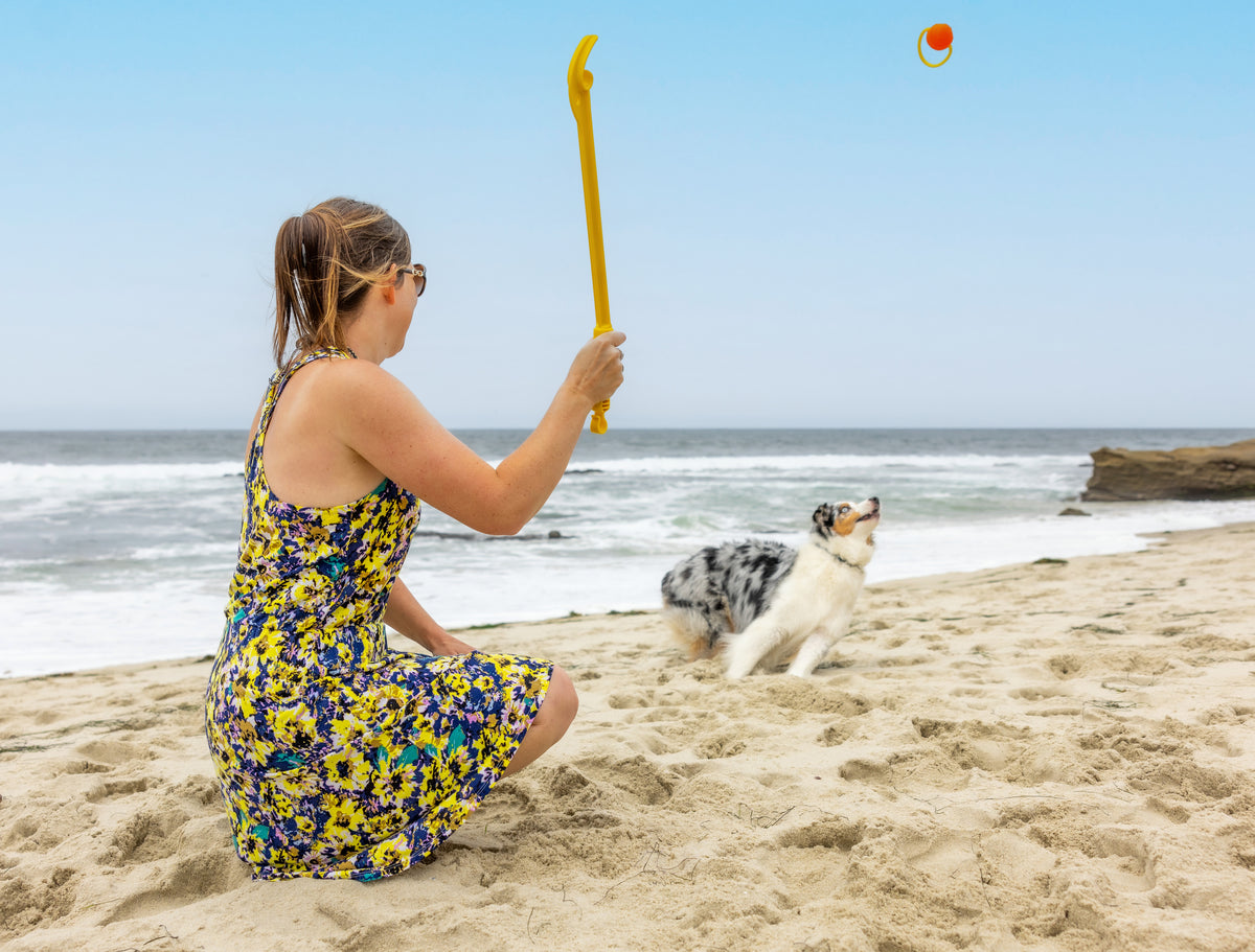 Project Hive Hive Zoomer and Ball Dog Fetch Toy