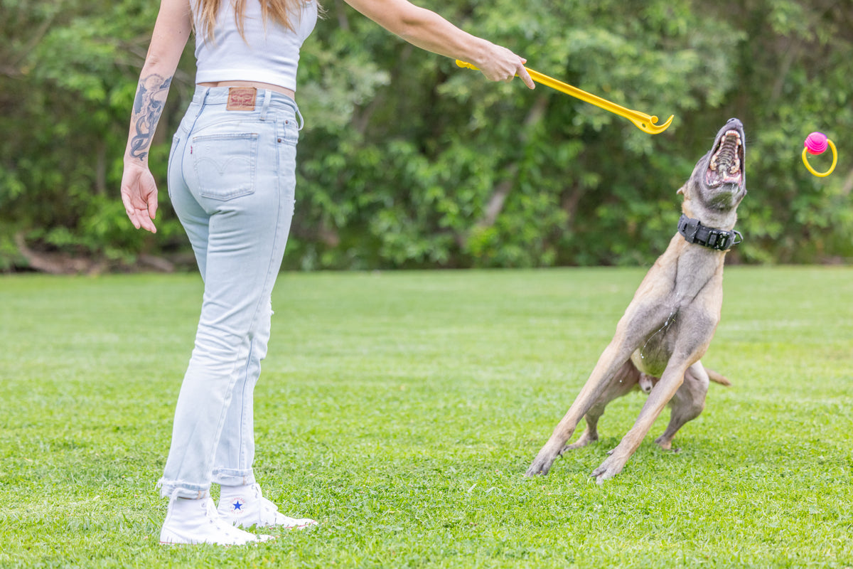 Project Hive Hive Zoomer and Ball Dog Fetch Toy