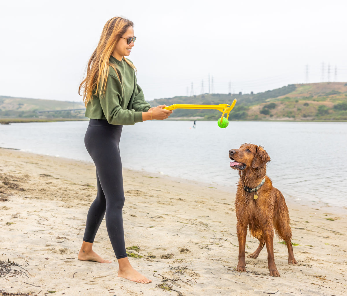 Project Hive Two Pack Looped Ball Dog Fetch Toy Green Blue