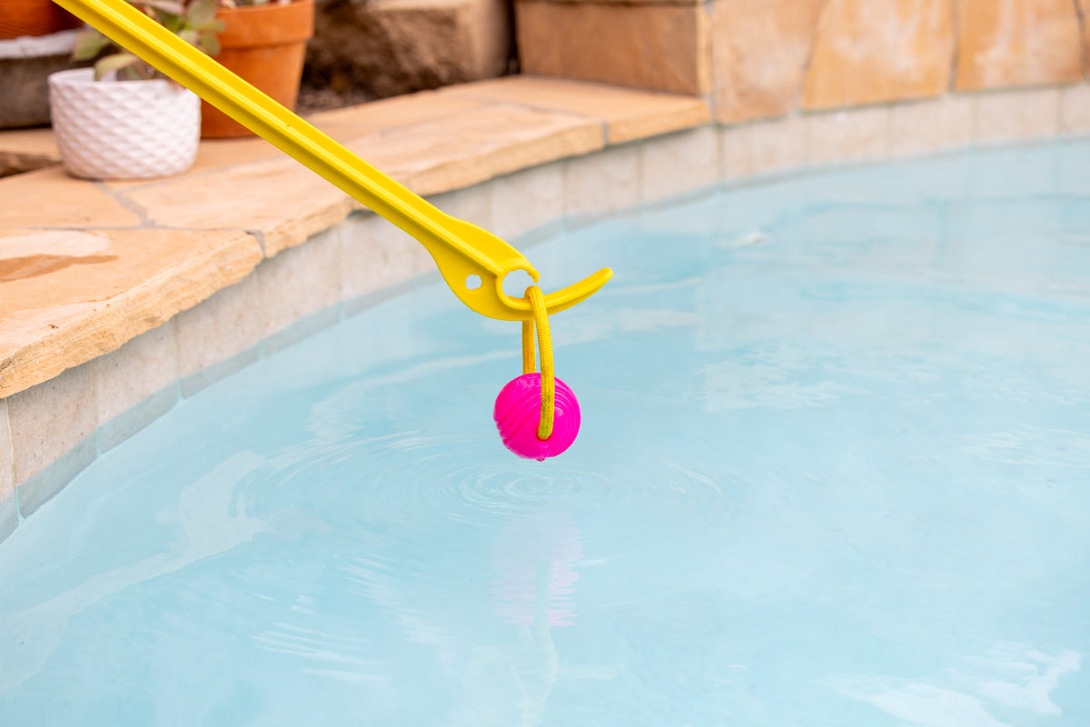 Project Hive Two Pack Looped Ball Dog Fetch Toy Pink Blue