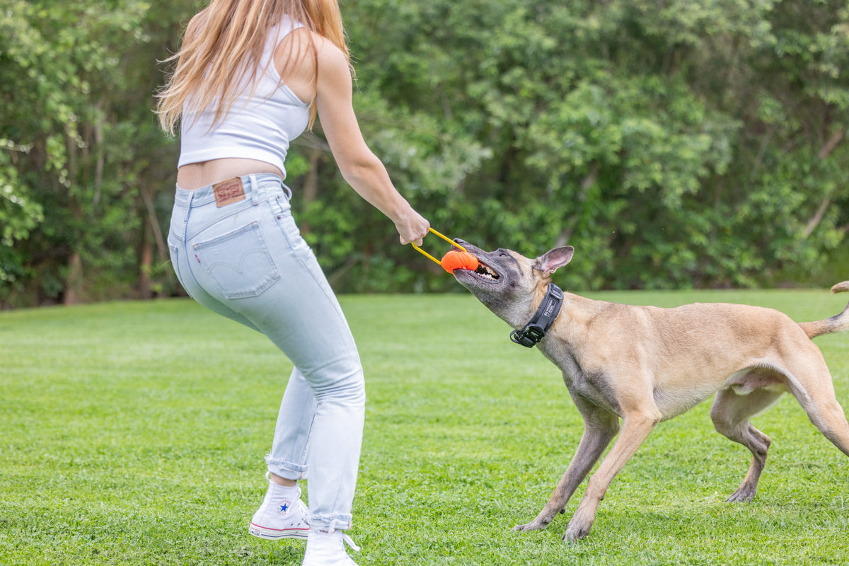 Project Hive Large Looped Ball Dog Fetch Toy 3 inch Large