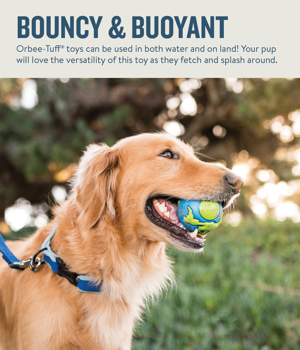 Planet Dog Orbee-Tuff Planet Ball Treat-Dispensing Dog Toy Blue/Green Medium