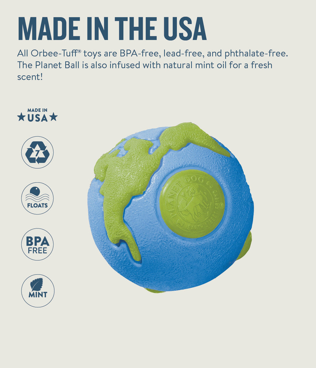 Planet Dog Orbee-Tuff Planet Ball Treat-Dispensing Dog Toy Blue/Green Small