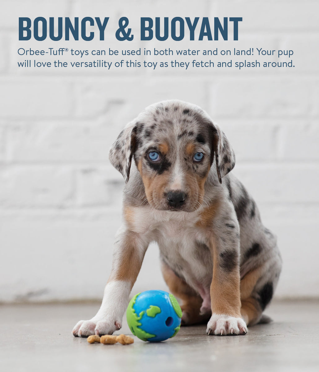 Planet Dog Orbee-Tuff Planet Ball Treat-Dispensing Dog Toy Blue/Green Small