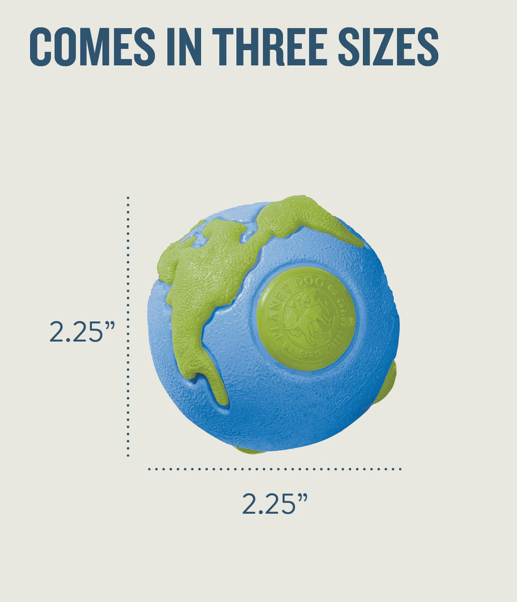 Planet Dog Orbee-Tuff Planet Ball Treat-Dispensing Dog Toy Blue/Green Small