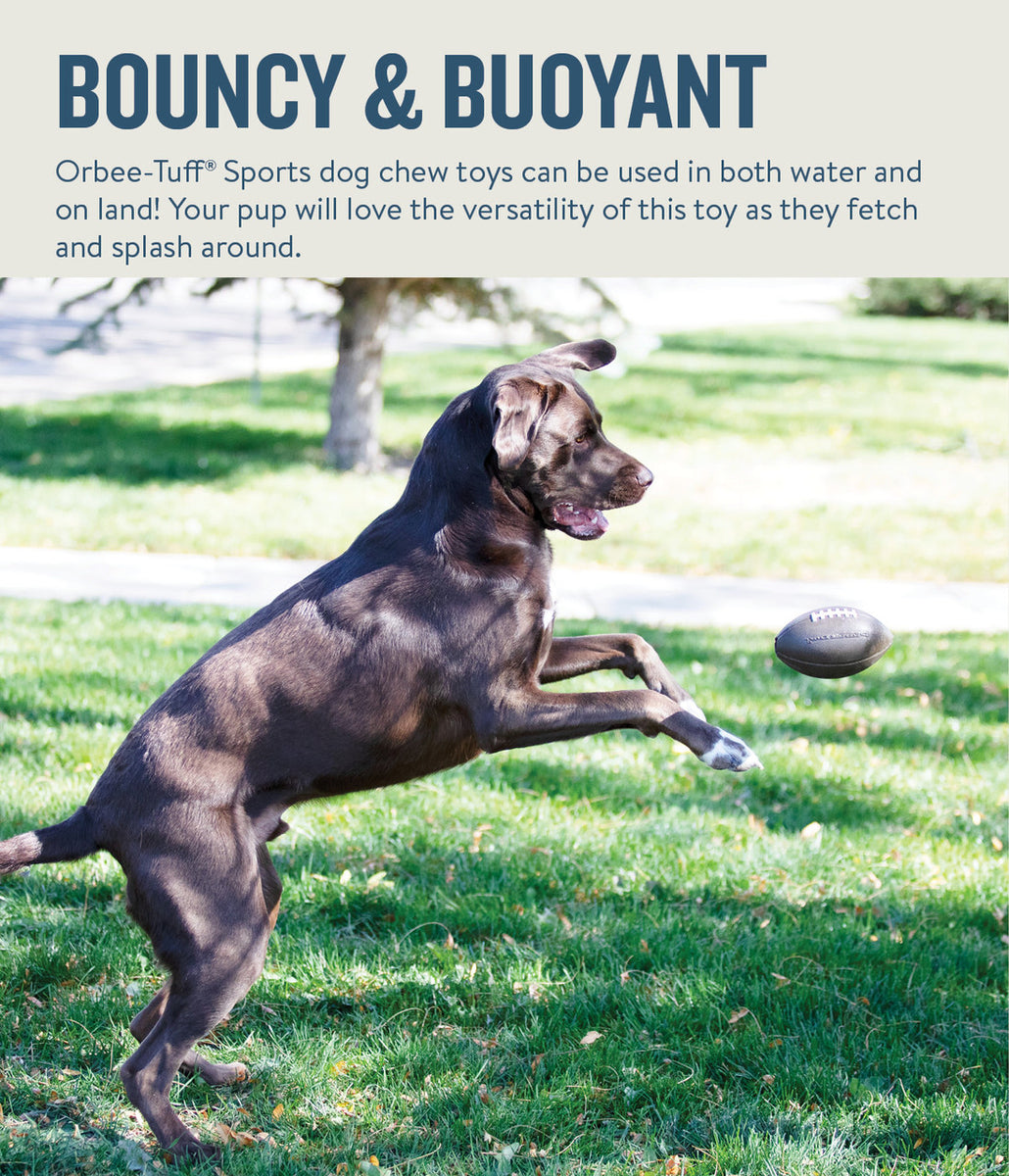 Planet Dog Orbee-Tuff Football Treat-Dispensing Dog Chew Toy Brown