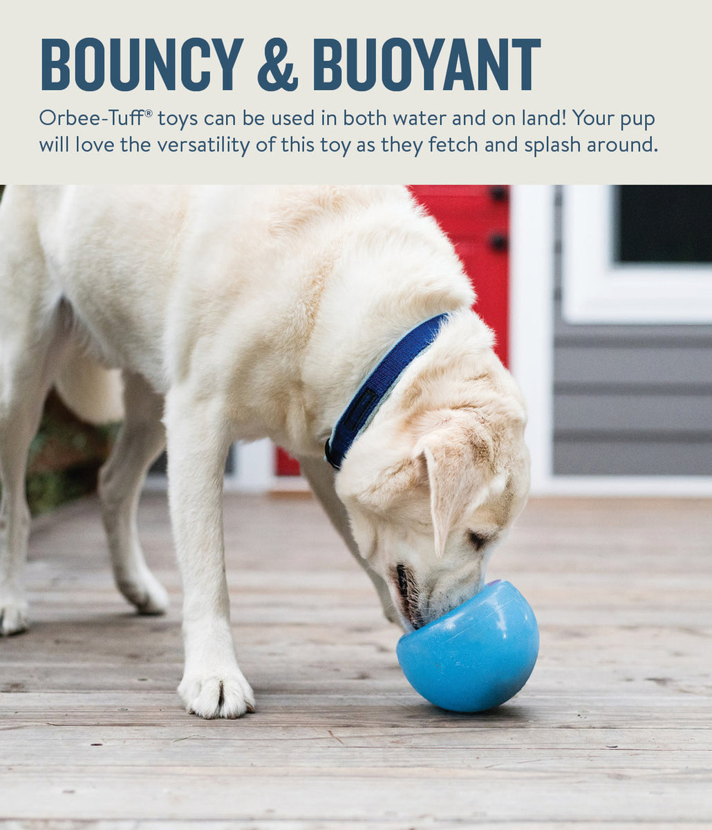 Planet Dog Orbee-Tuff Snoop Interactive Treat-Dispensing Dog Toy Blue