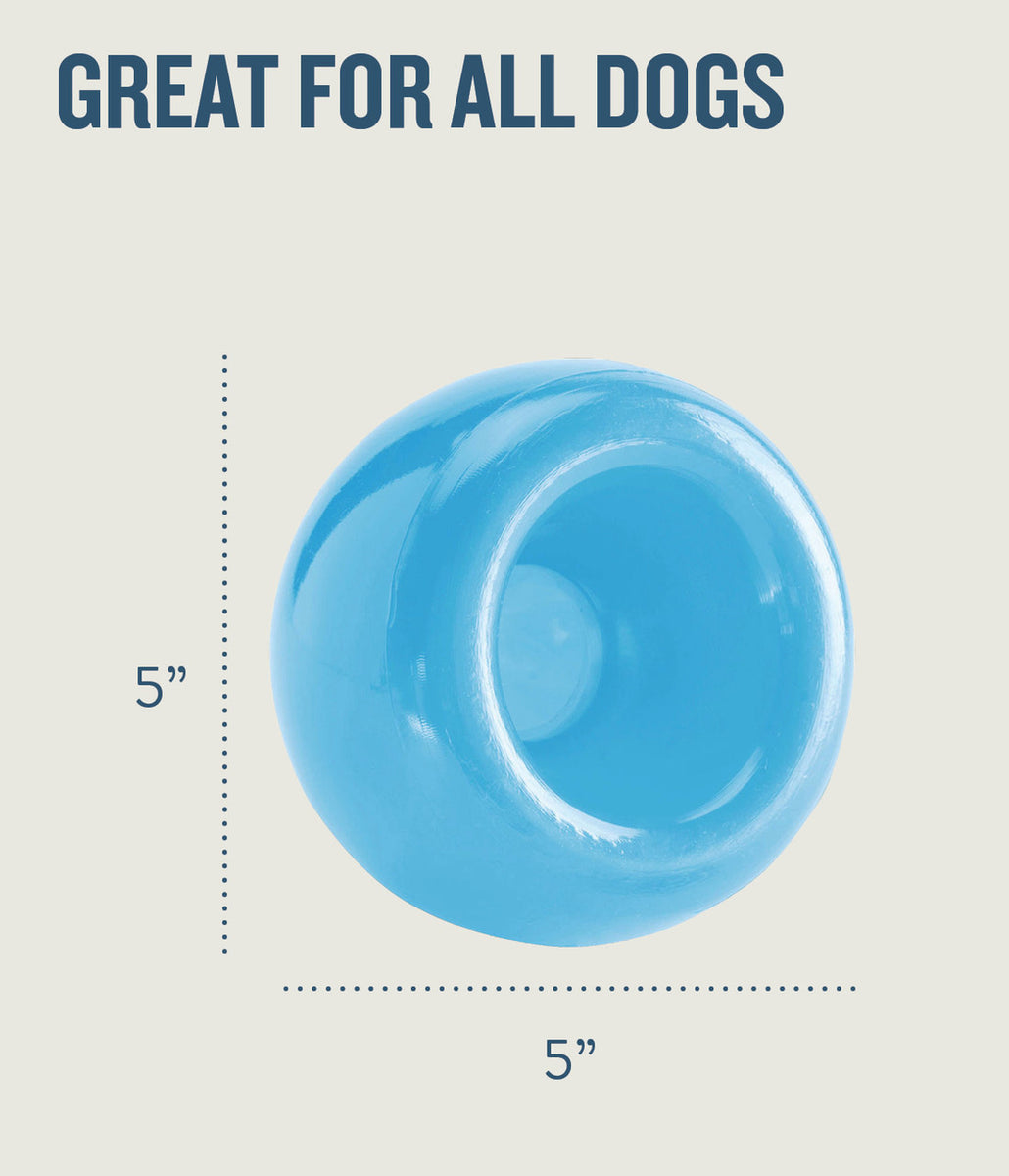 Planet Dog Orbee-Tuff Snoop Interactive Treat-Dispensing Dog Toy Blue