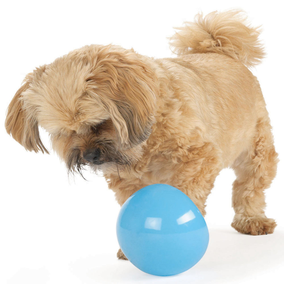 Planet Dog Orbee-Tuff Snoop Interactive Treat-Dispensing Dog Toy Blue