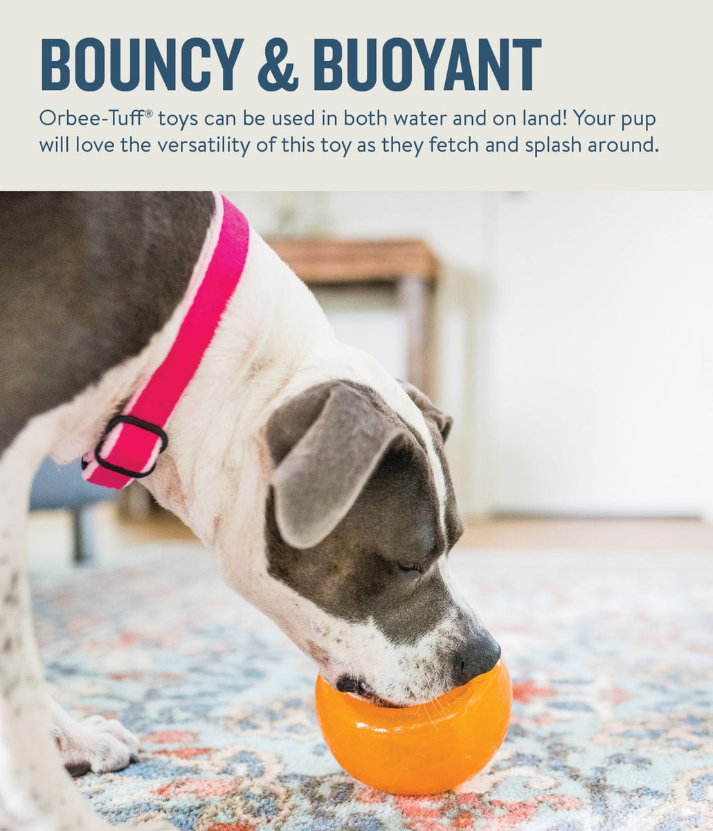 Planet Dog Orbee-Tuff Snoop Interactive Treat-Dispensing Dog Toy Orange