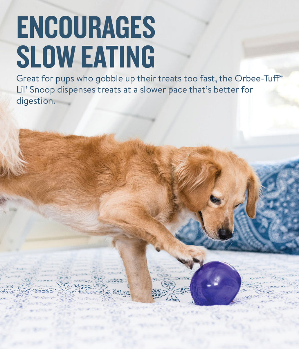 Planet Dog Orbee-Tuff Lil Snoop Interactive Treat-Dispensing Dog Toy Purple