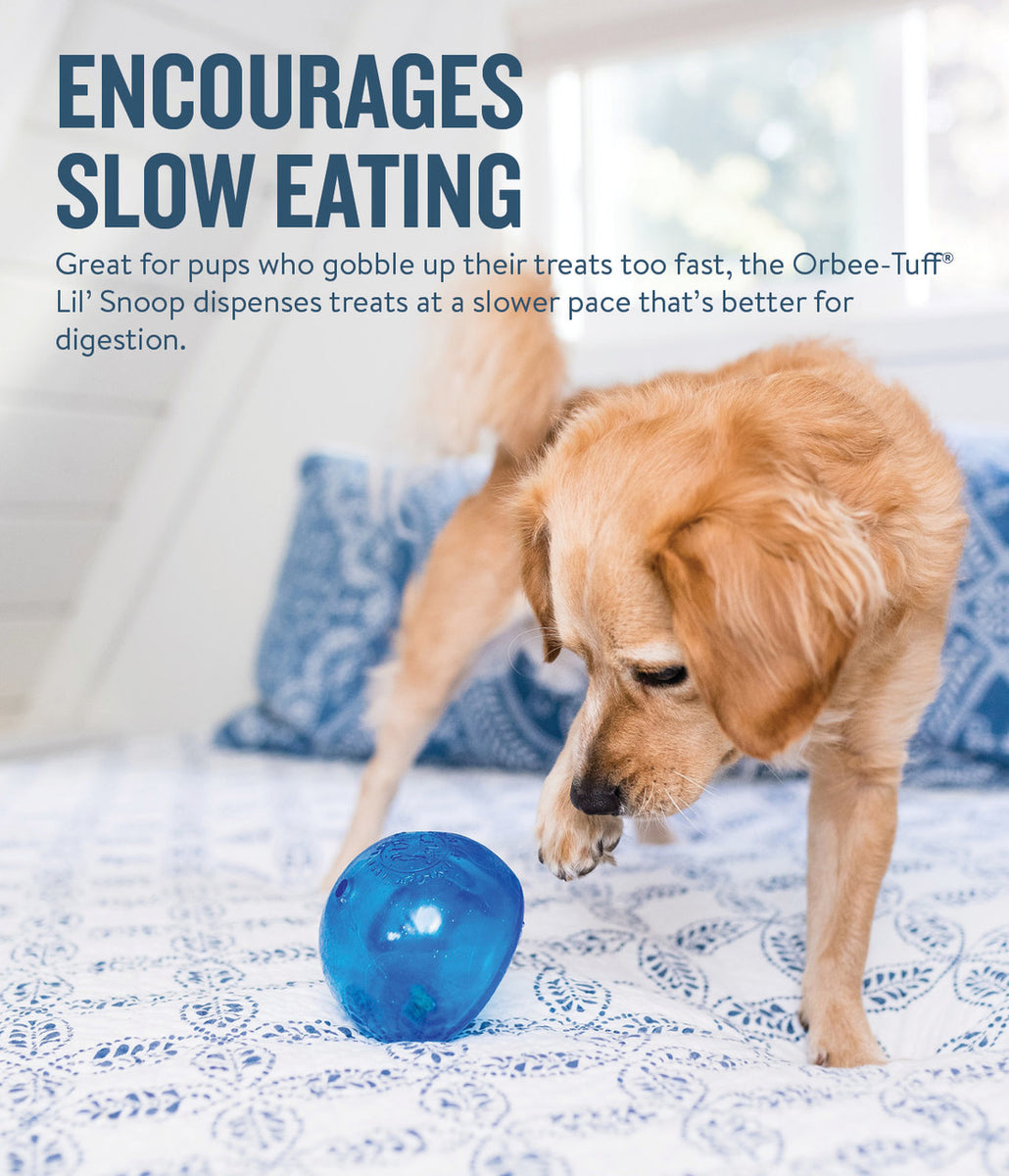 Planet Dog Orbee-Tuff Lil Snoop Interactive Treat-Dispensing Dog Toy Royal