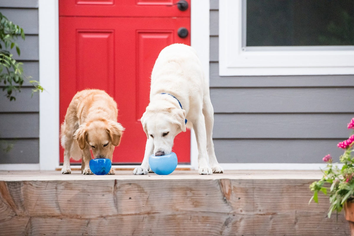 Planet Dog Orbee-Tuff Lil Snoop Interactive Treat-Dispensing Dog Toy Royal