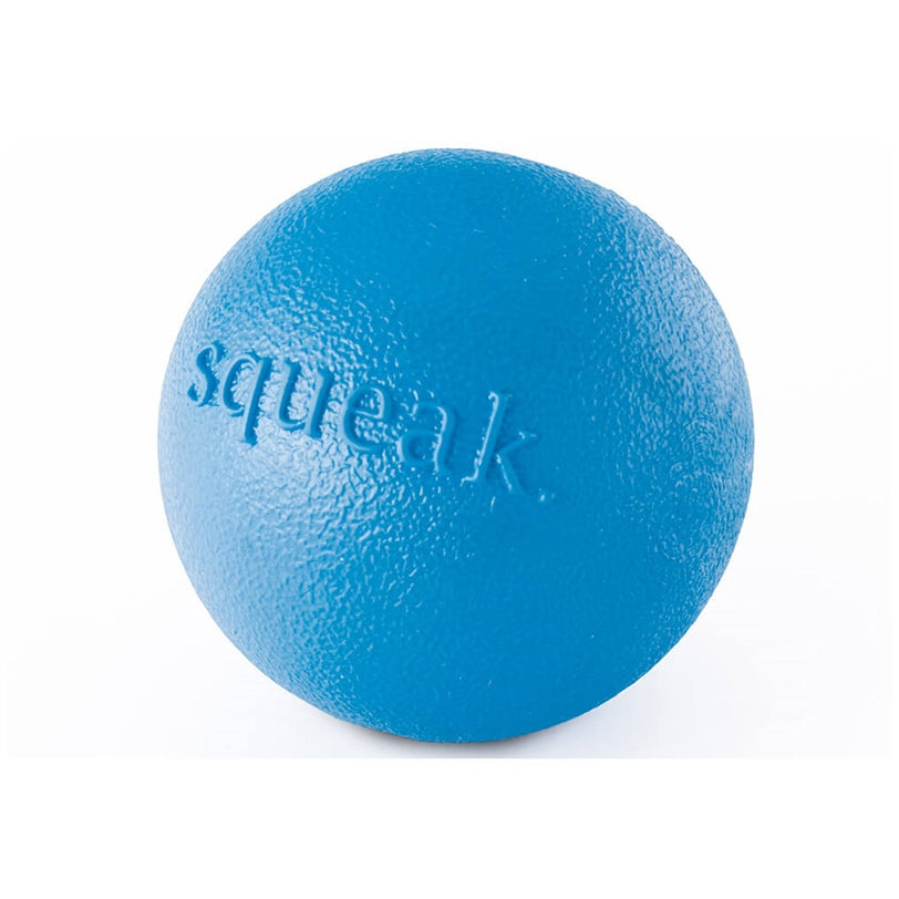 Planet Dog Orbee-Tuff Squeak Ball Dog Toy Blue