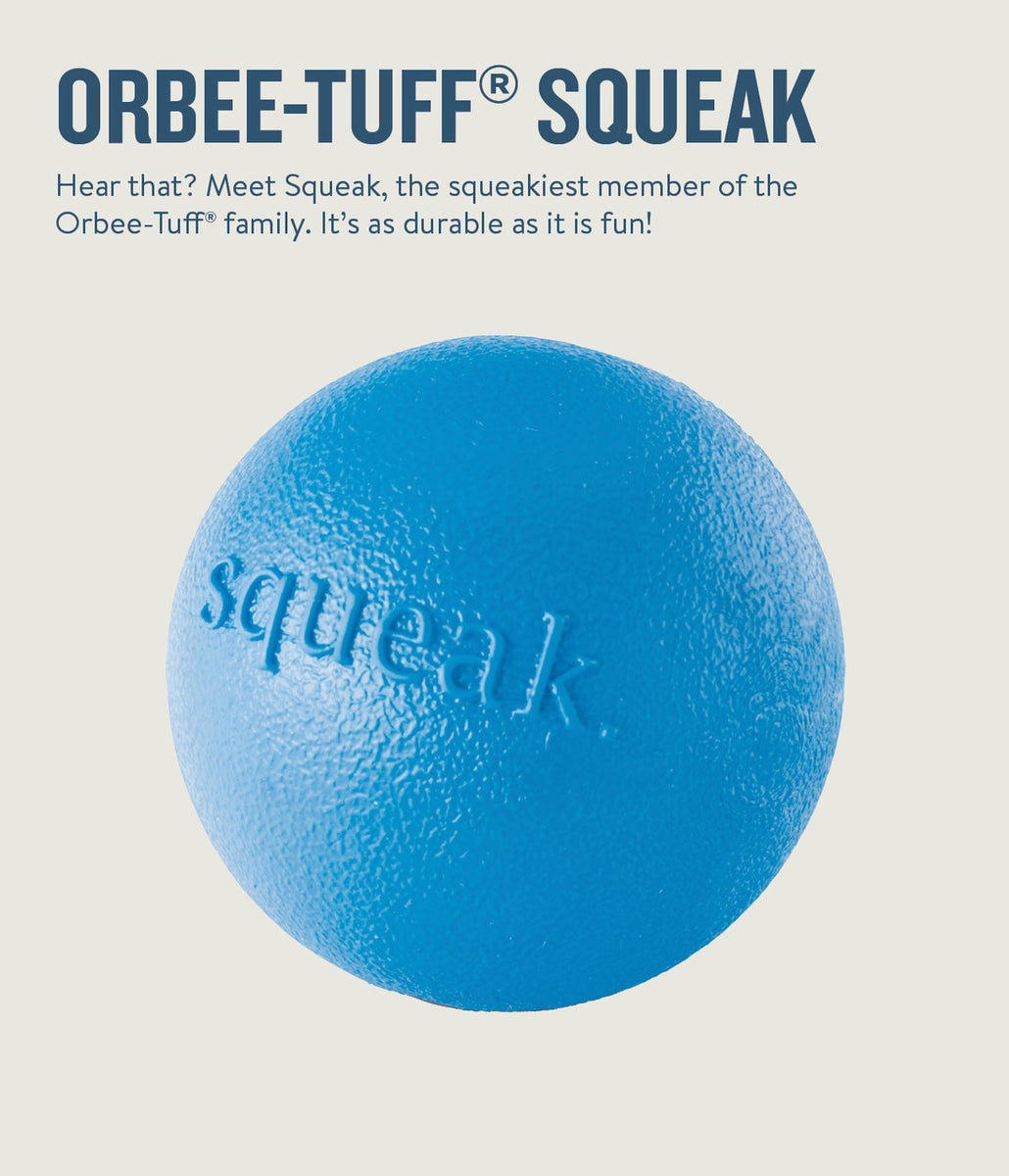 Planet Dog Orbee-Tuff Squeak Ball Dog Toy Blue