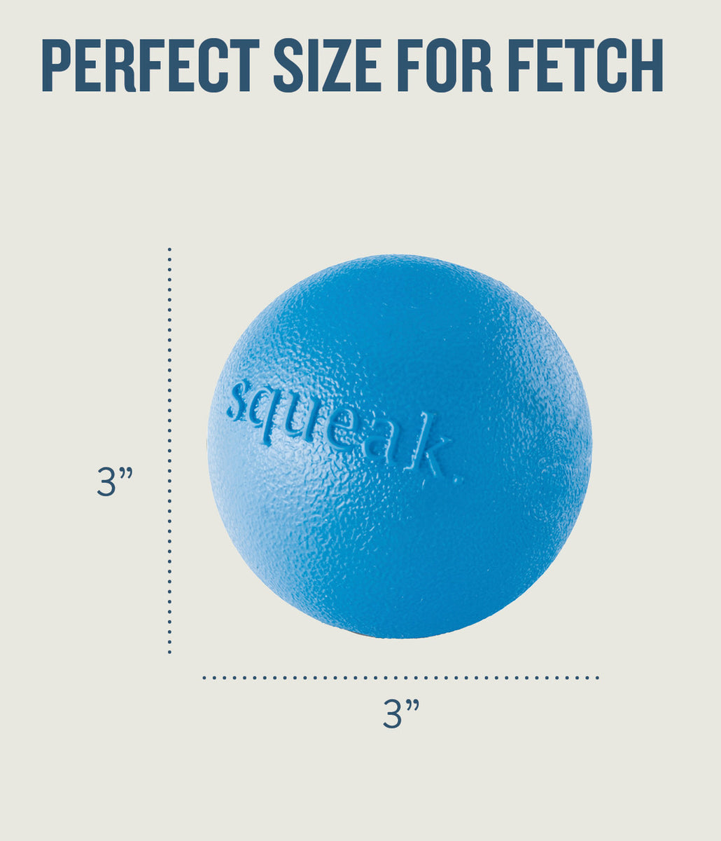Planet Dog Orbee-Tuff Squeak Ball Dog Toy Blue