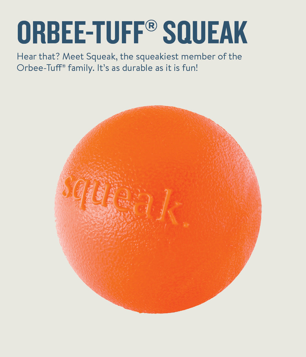 Planet Dog Orbee-Tuff Squeak Ball Dog Toy Orange