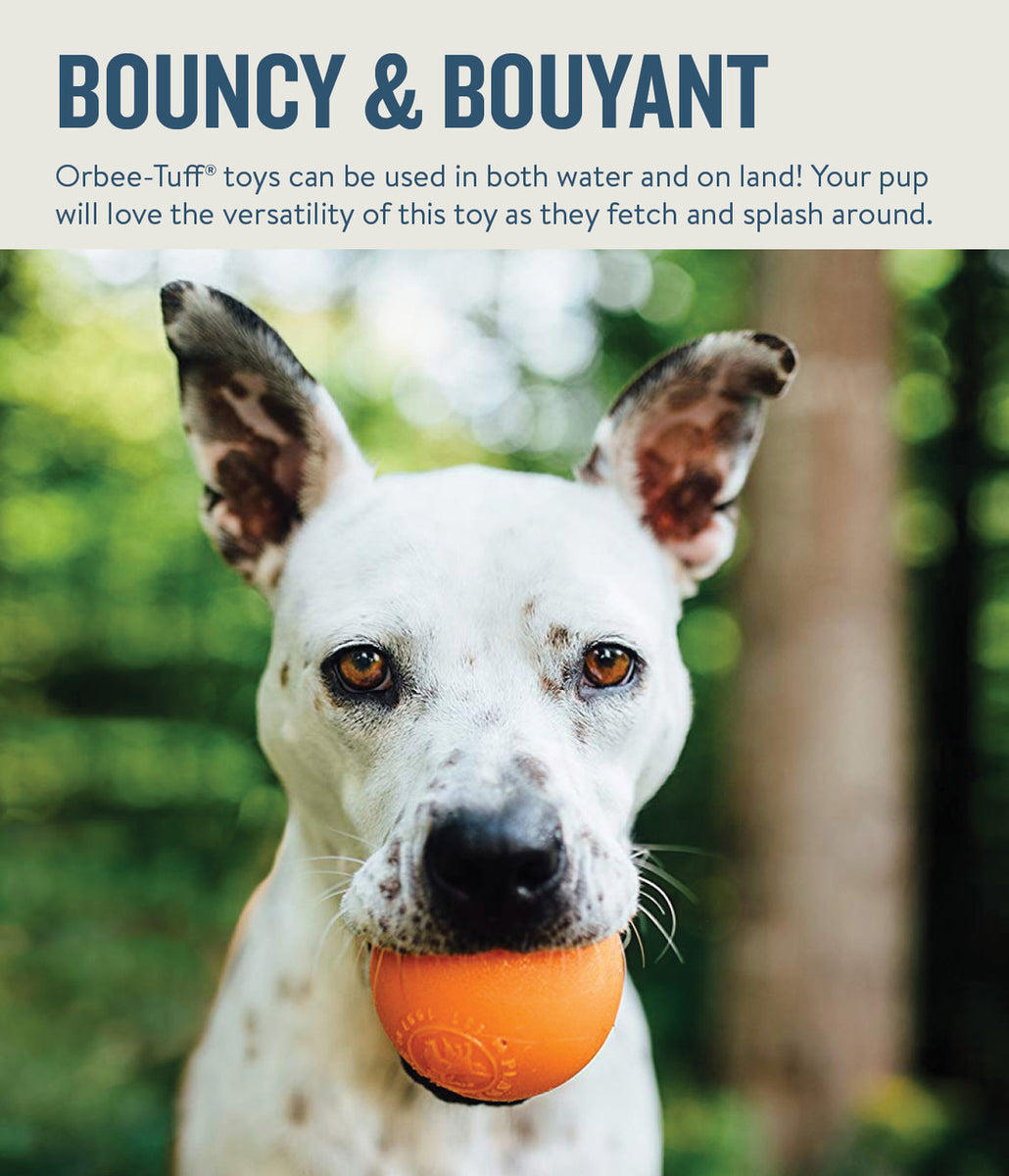 Planet Dog Orbee-Tuff Squeak Ball Dog Toy Orange